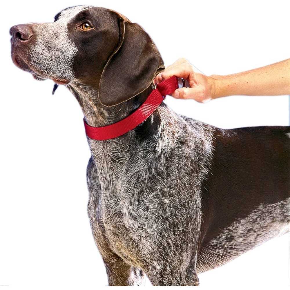Martingale Collar D3055