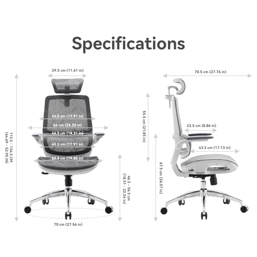 Ergonomic Office Chair with 3D Flip-up Armrests and Dual Back Design K532