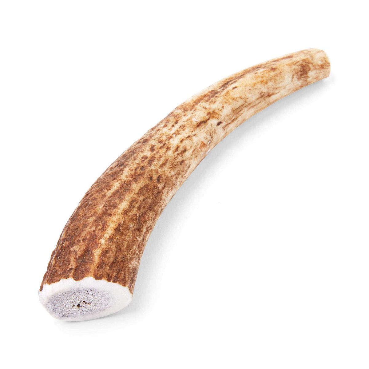 Whole Elk Antler Dog Chew U433
