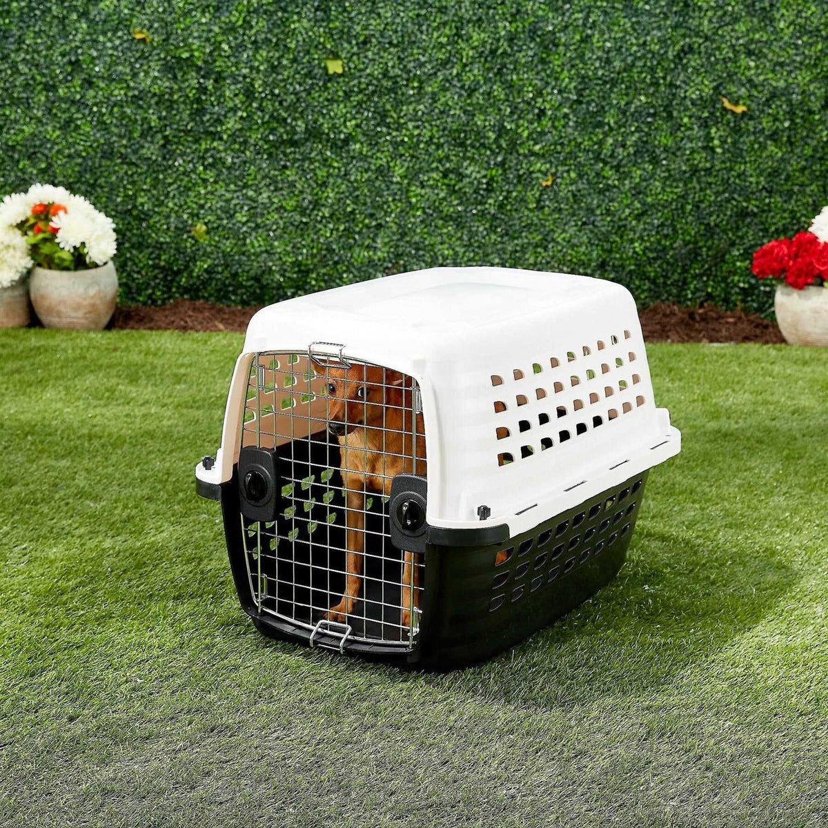 Compass Kennel J42529