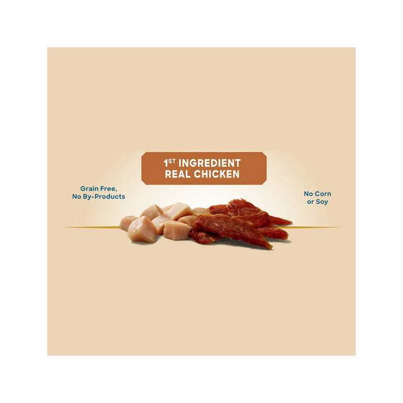Chicken Jerky Dog Treats S249