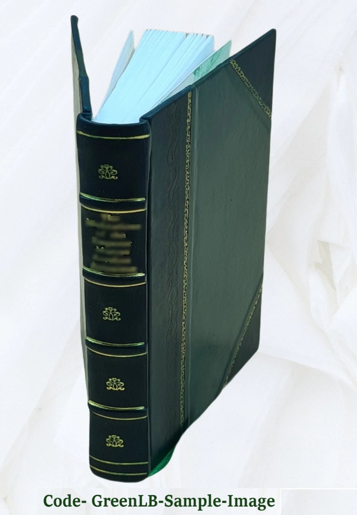 Leather Bound Book W919