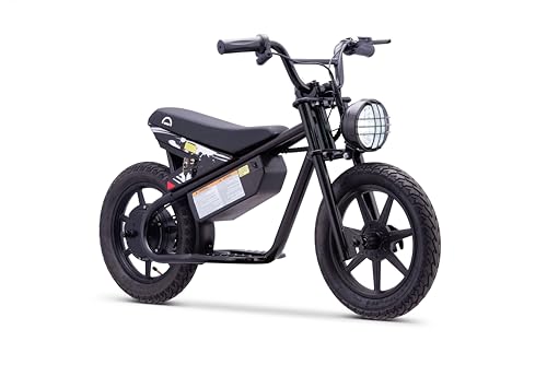 Electric Mini Bike, 200W Motor, 2 Speed Settings, 24V 8Ah Battery, Rear Disc Brake, 15" Tires E82969
