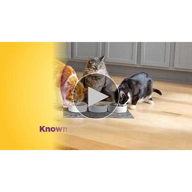 Cat Food H873267