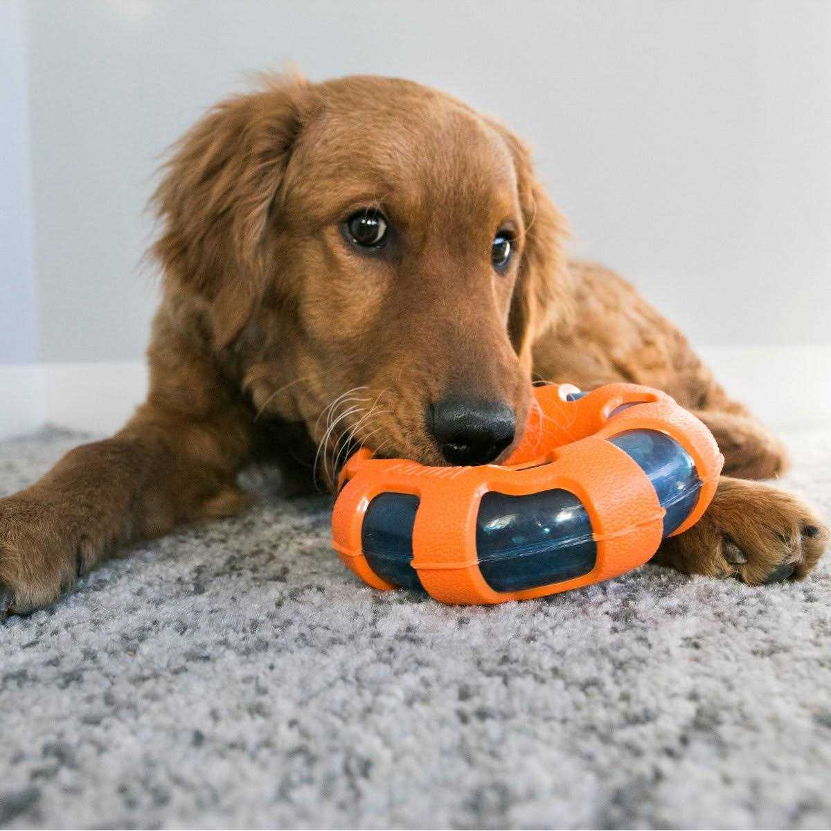 Ball Dog Toy L32105