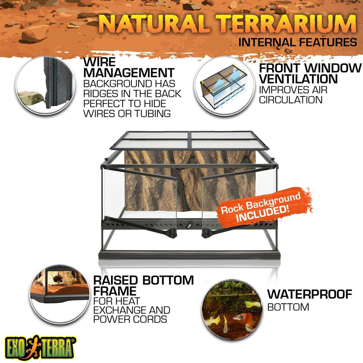 Glass Terrarium P885