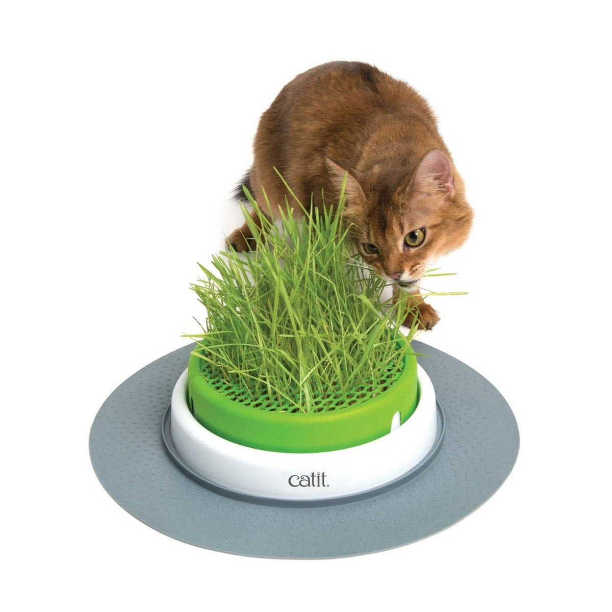 Grass Planter W495214