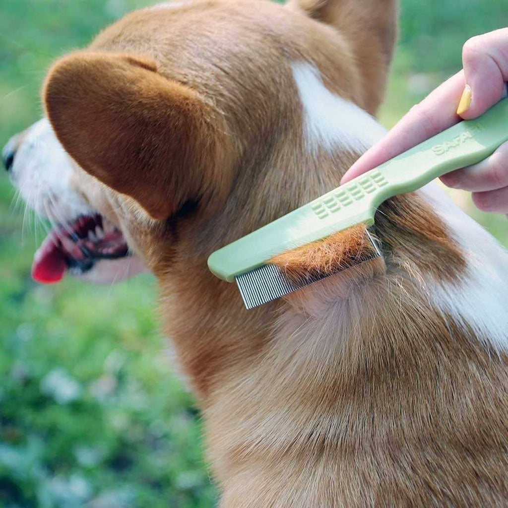 Cat Flea Comb S100364