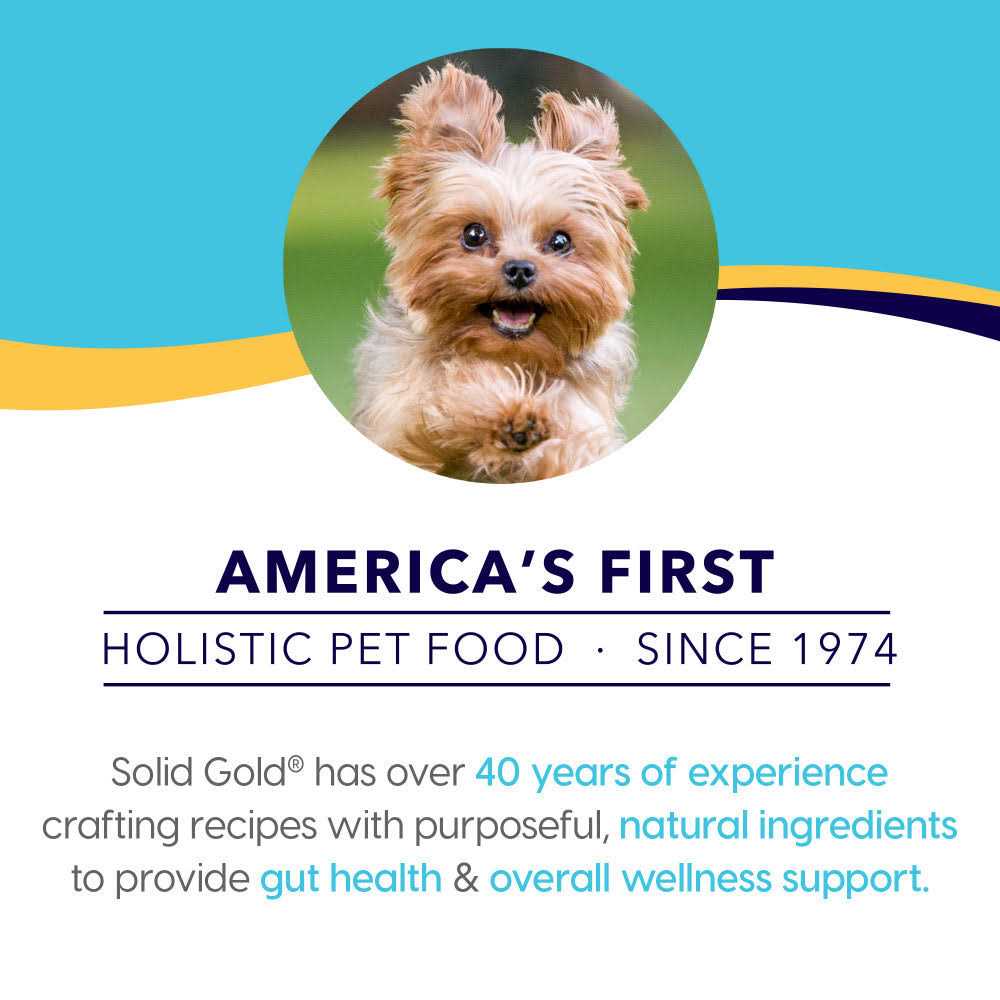 Solid Gold Small Breed Dry Dog Food S2794