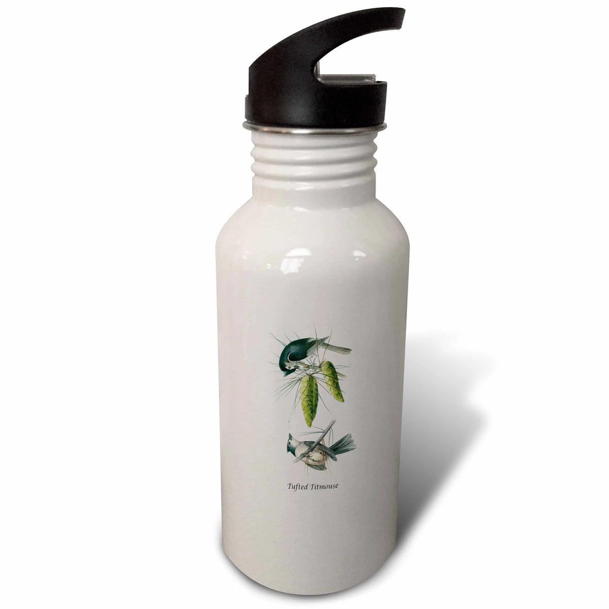 Tufted Titmouse 21 oz Sports Water Bottle O9302