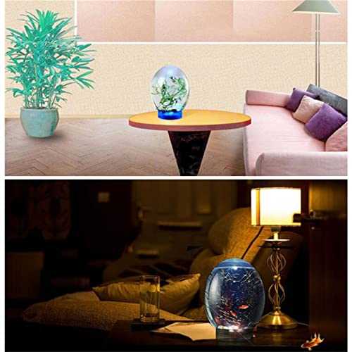 Mini Ecological Fish Tank with Led Base G3202