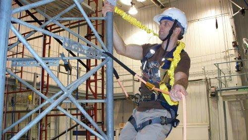Adjustable Rope Positioning Lanyard D965367