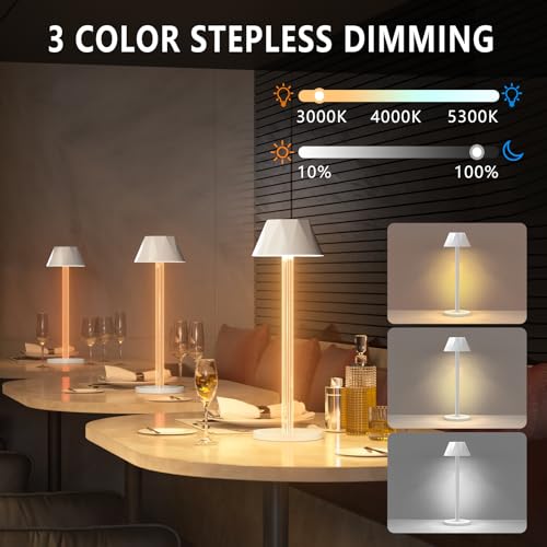 Rechargeable Cordless Table Lamp with 6000mAh Battery Operated 3 Color Stepless Dimming Waterproof Q31254
