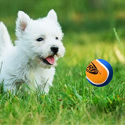 2.5 Inch Three Pack Dog Toy Tennis Ball with Squeaker L769313