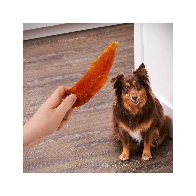 Chicken Jerky Dog Treats S249