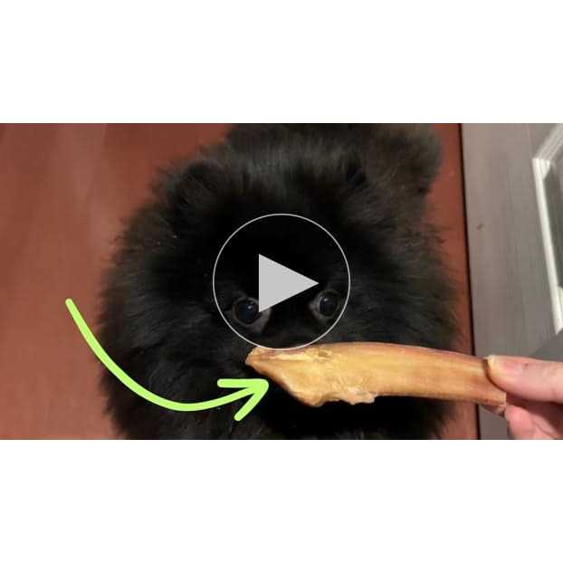 All-Natural Bully Sticks for Dogs K464196
