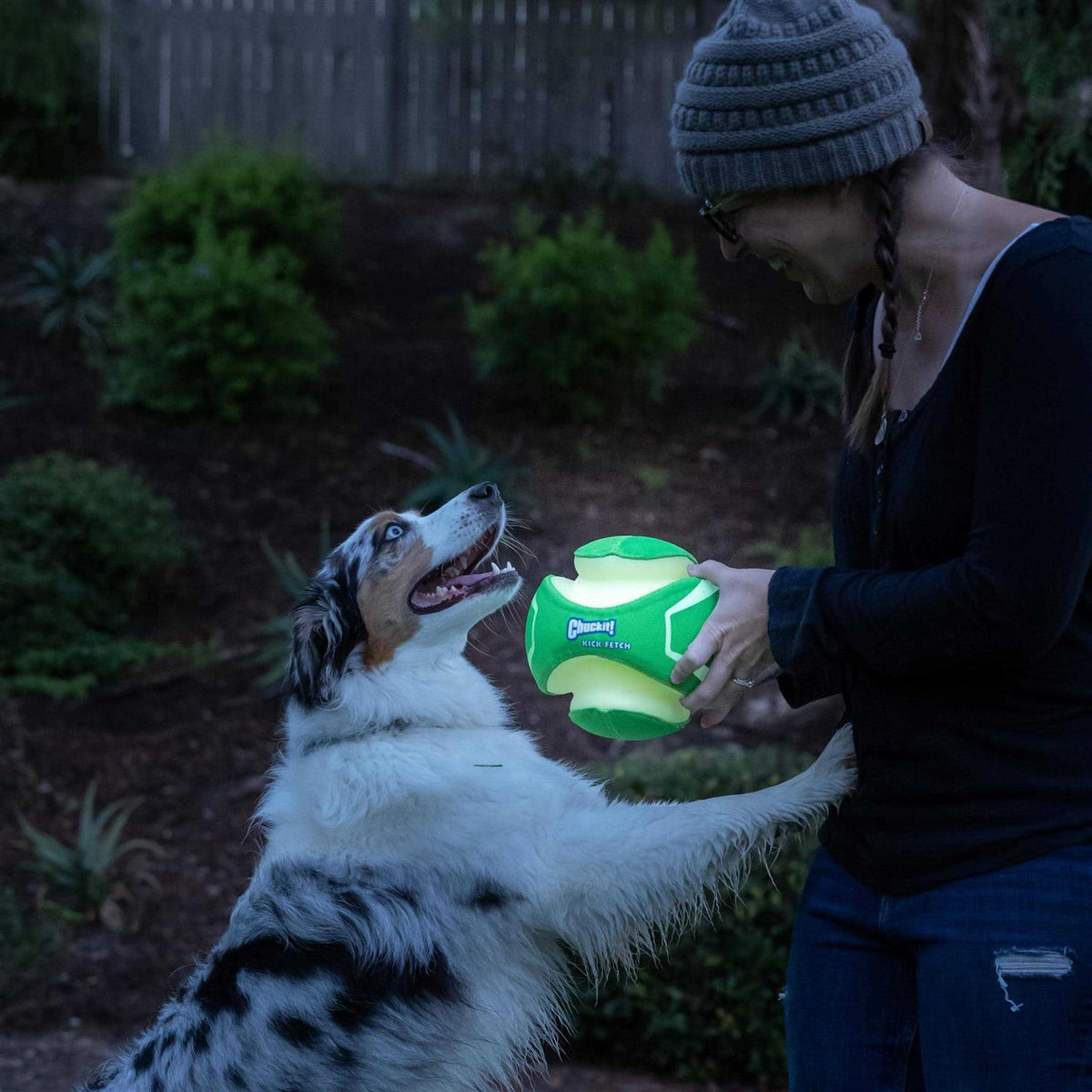 Glow Dog Toy W65878