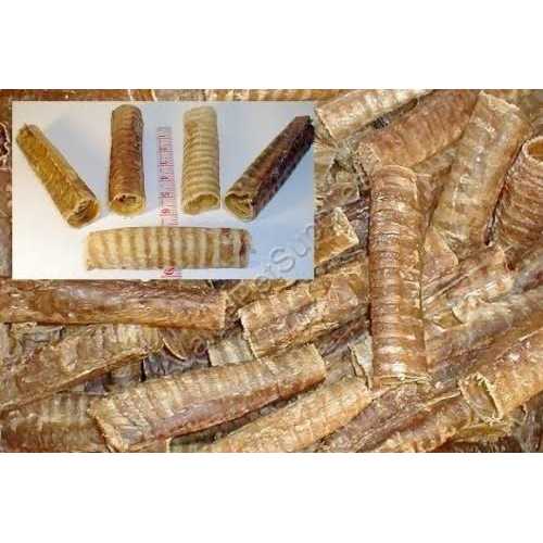 6 inch Beef Trachea L73695