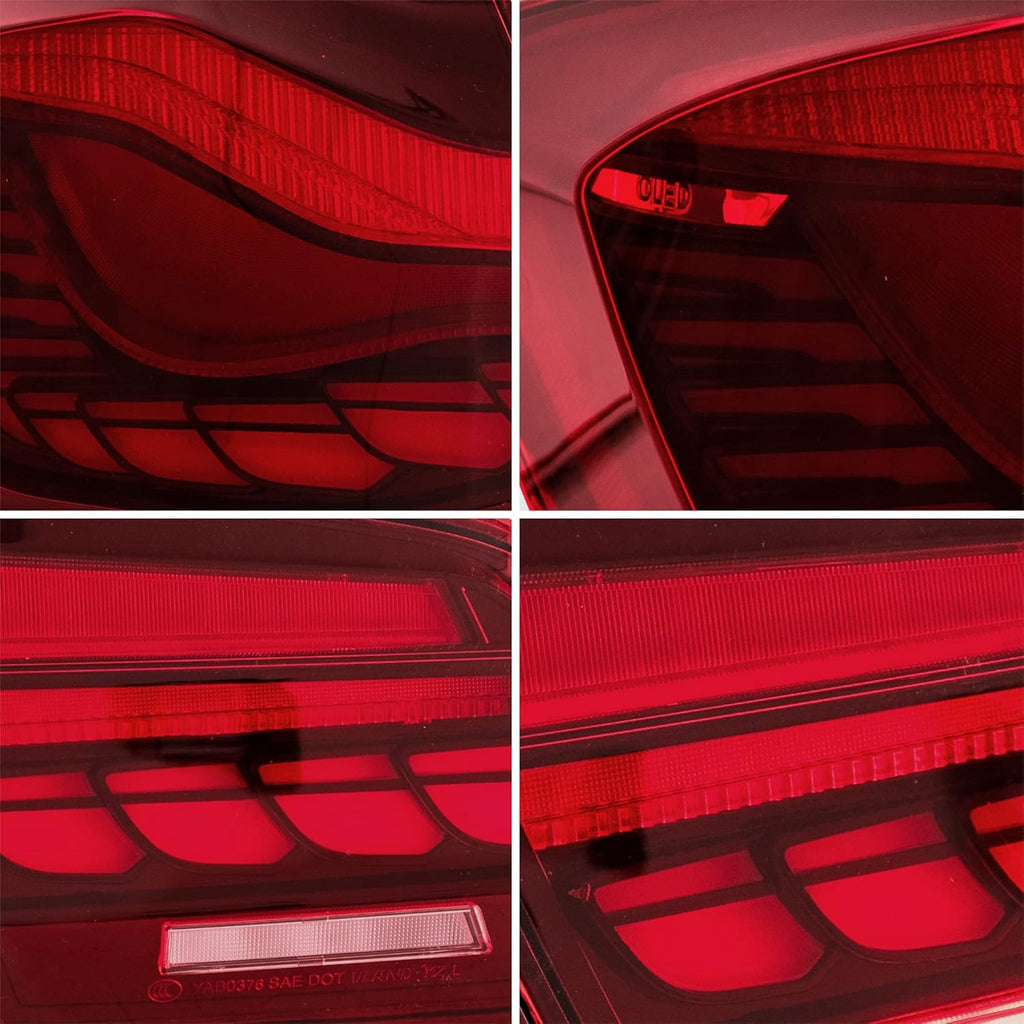 OLED Tail Lights with Sequential Turn Signal W42517