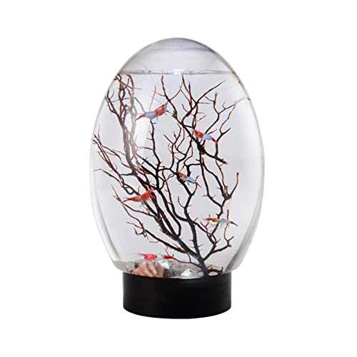 Mini Ecological Fish Tank with Led Base G3202