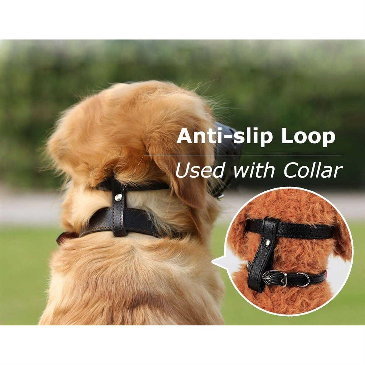 Leather Dog Muzzle C151