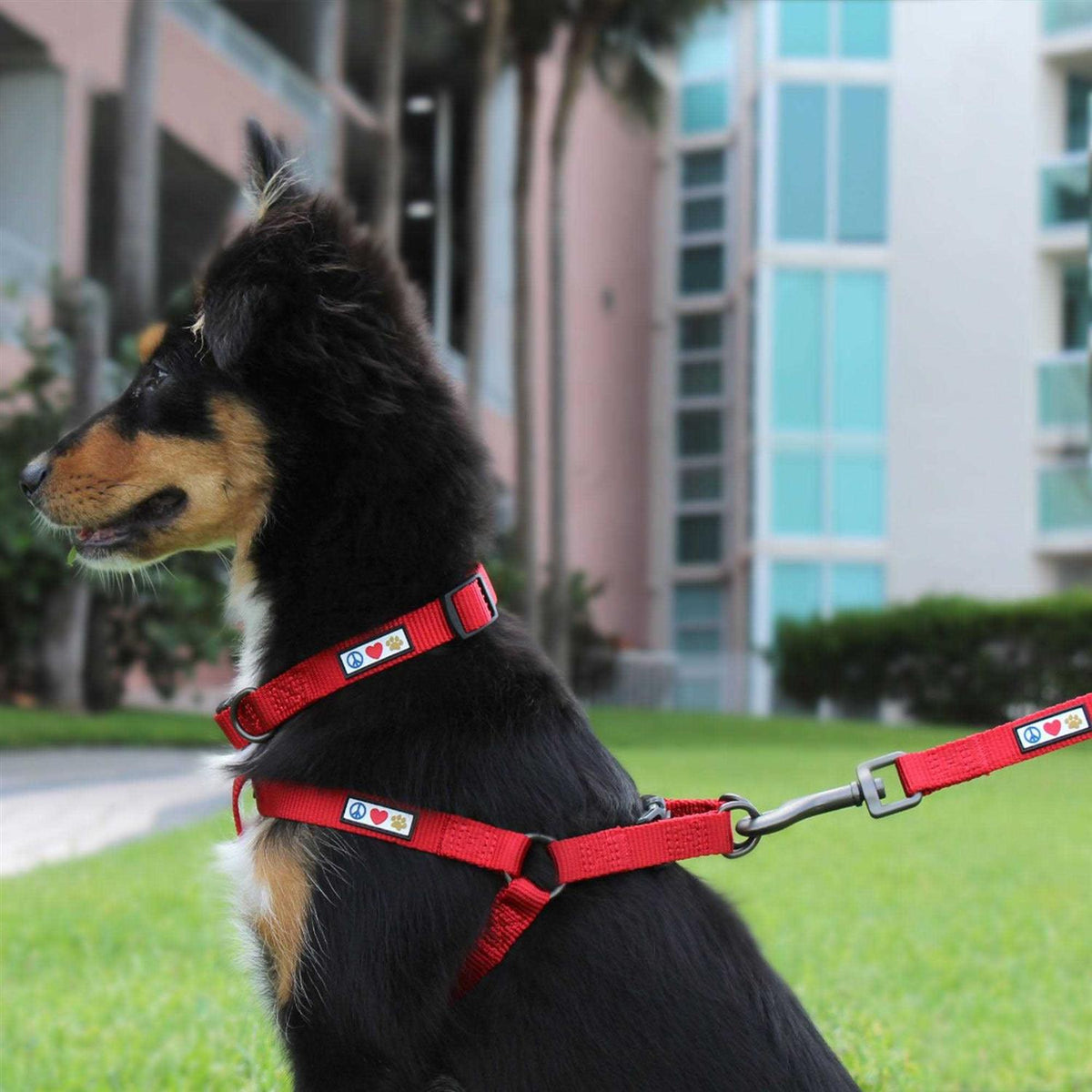 Reflective Step-in Dog Harness M66070