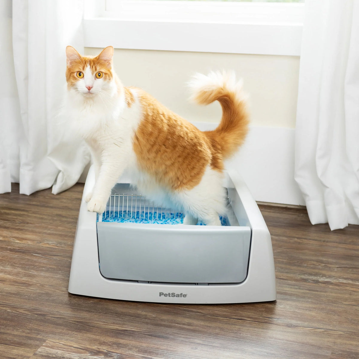 Gray Self-Cleaning Cat Litter Box B274