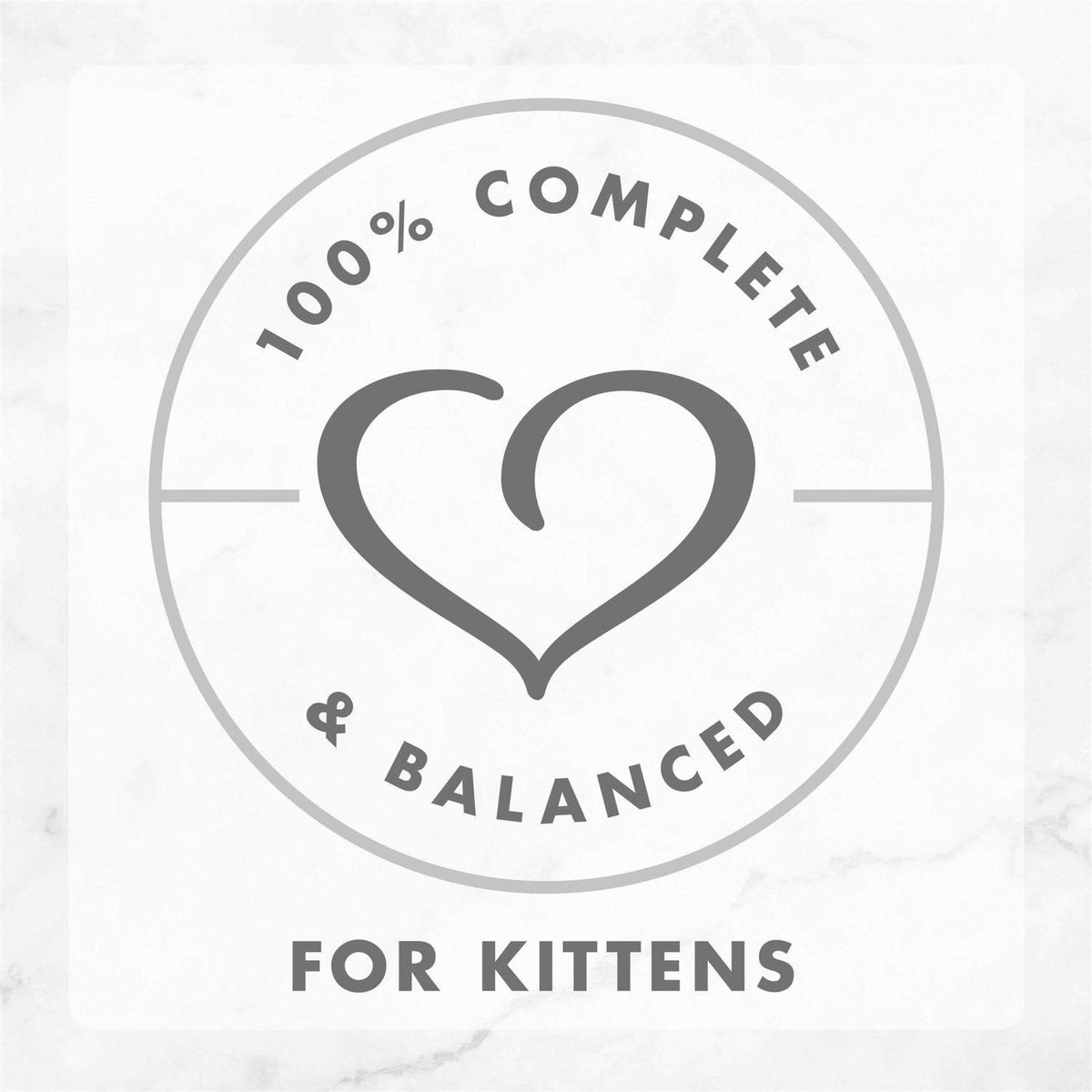 Grain Free Pate Wet Kitten Food H9911