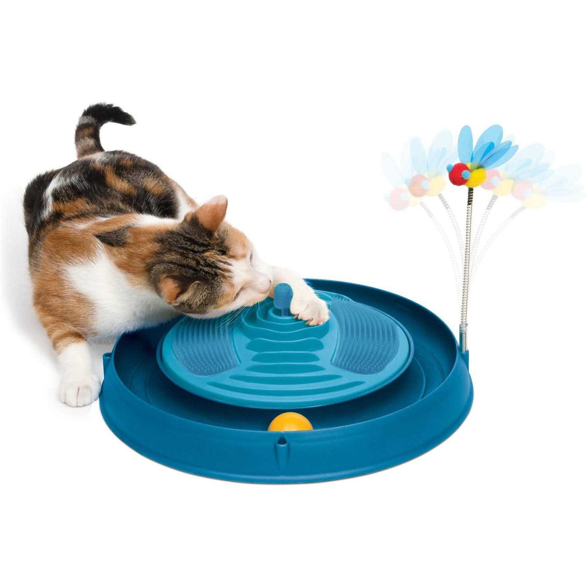 Circuit Ball Cat Toy D7947