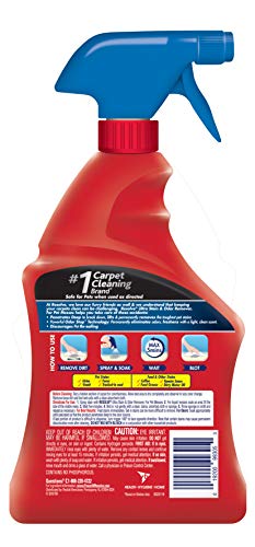 32oz Pet Odor and Stain Remover Spray R755673