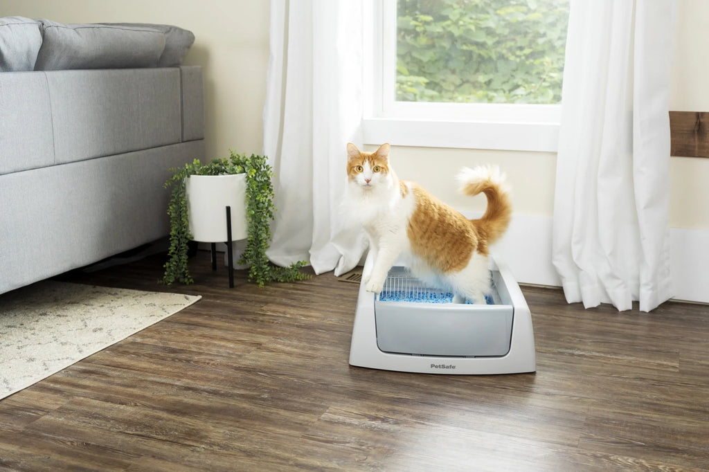 Gray Self-Cleaning Cat Litter Box B274