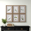 Botanical Sketches Picture Frame Graphic Art Set K637598