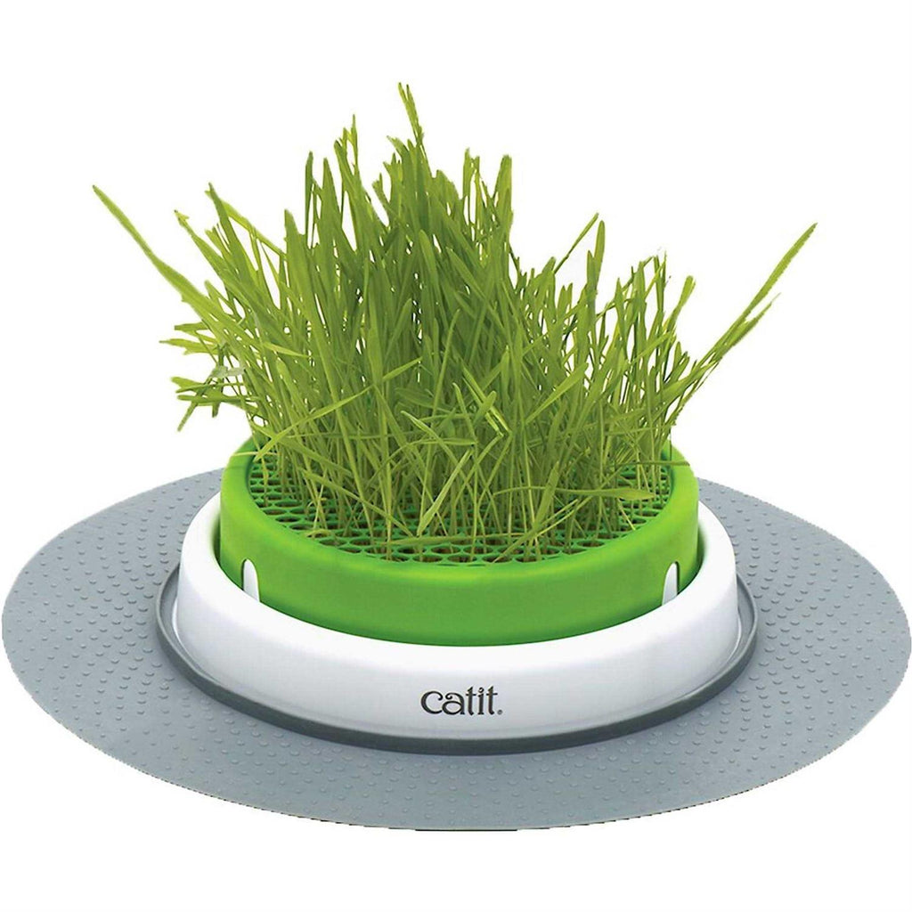 Grass Planter W495214