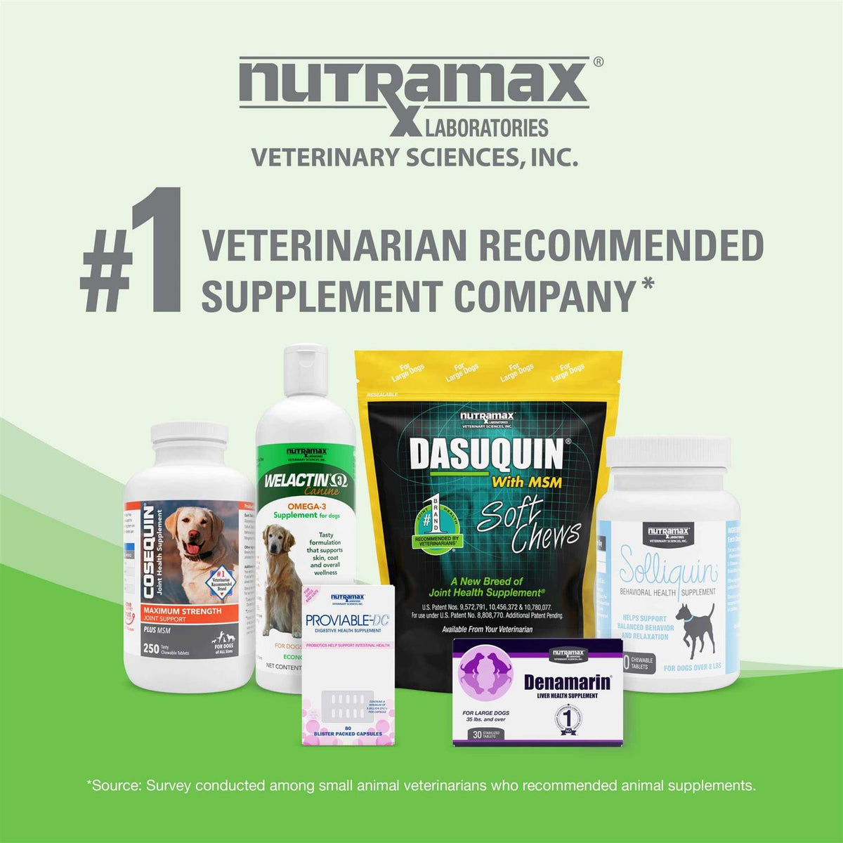 Dermaquin Skin Support Dogs 60 ct F753758
