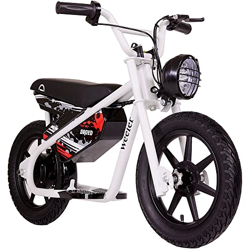 Electric Mini Bike, 200W Motor, 2 Speed Settings, 24V 8Ah Battery, Rear Disc Brake, 15" Tires E82969