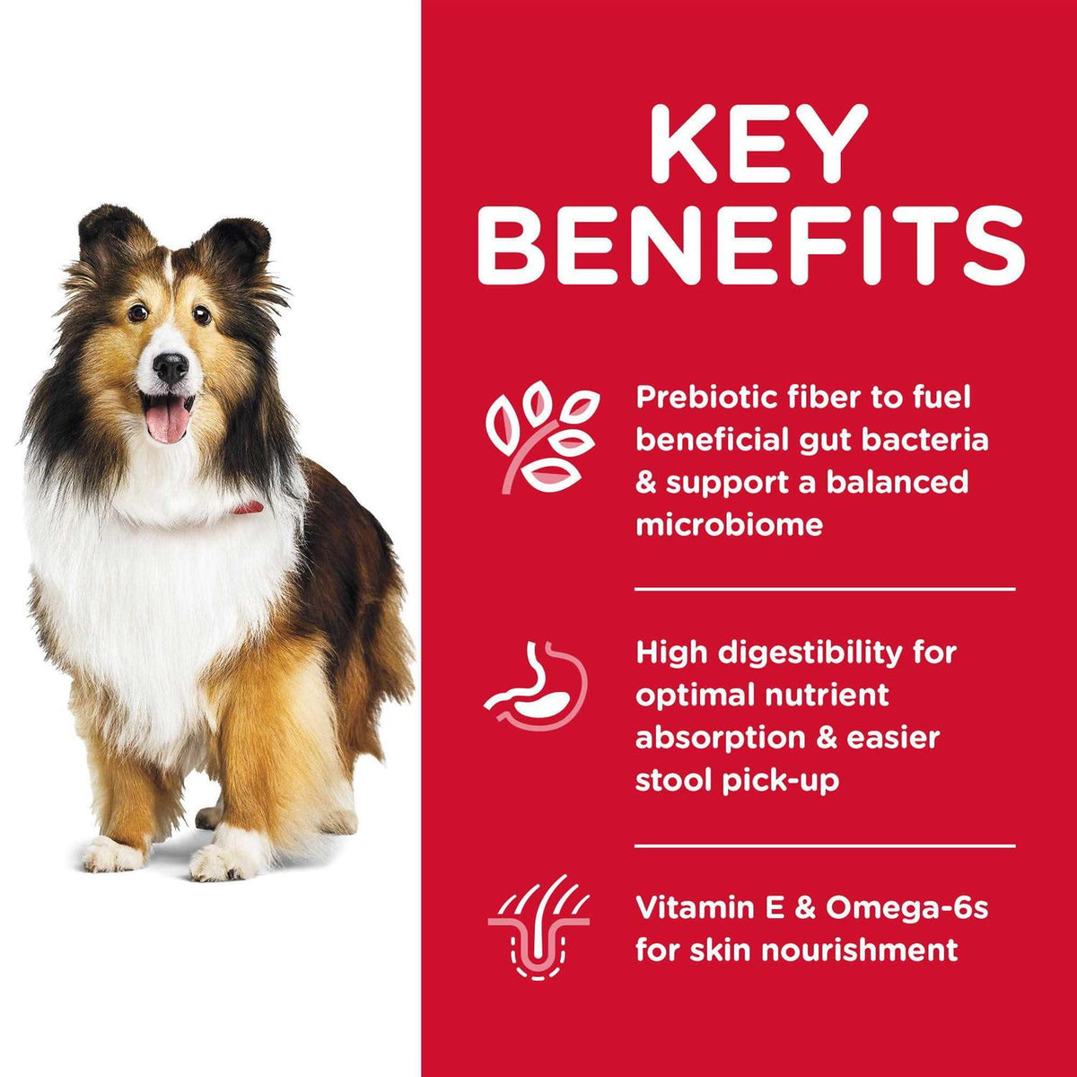 Sensitive Stomach & Skin Dry Dog Food X47697
