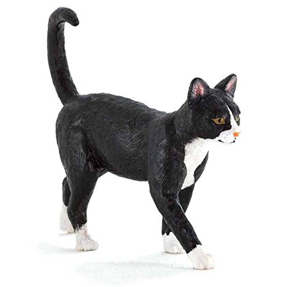 Farm Yard Cat Y9477