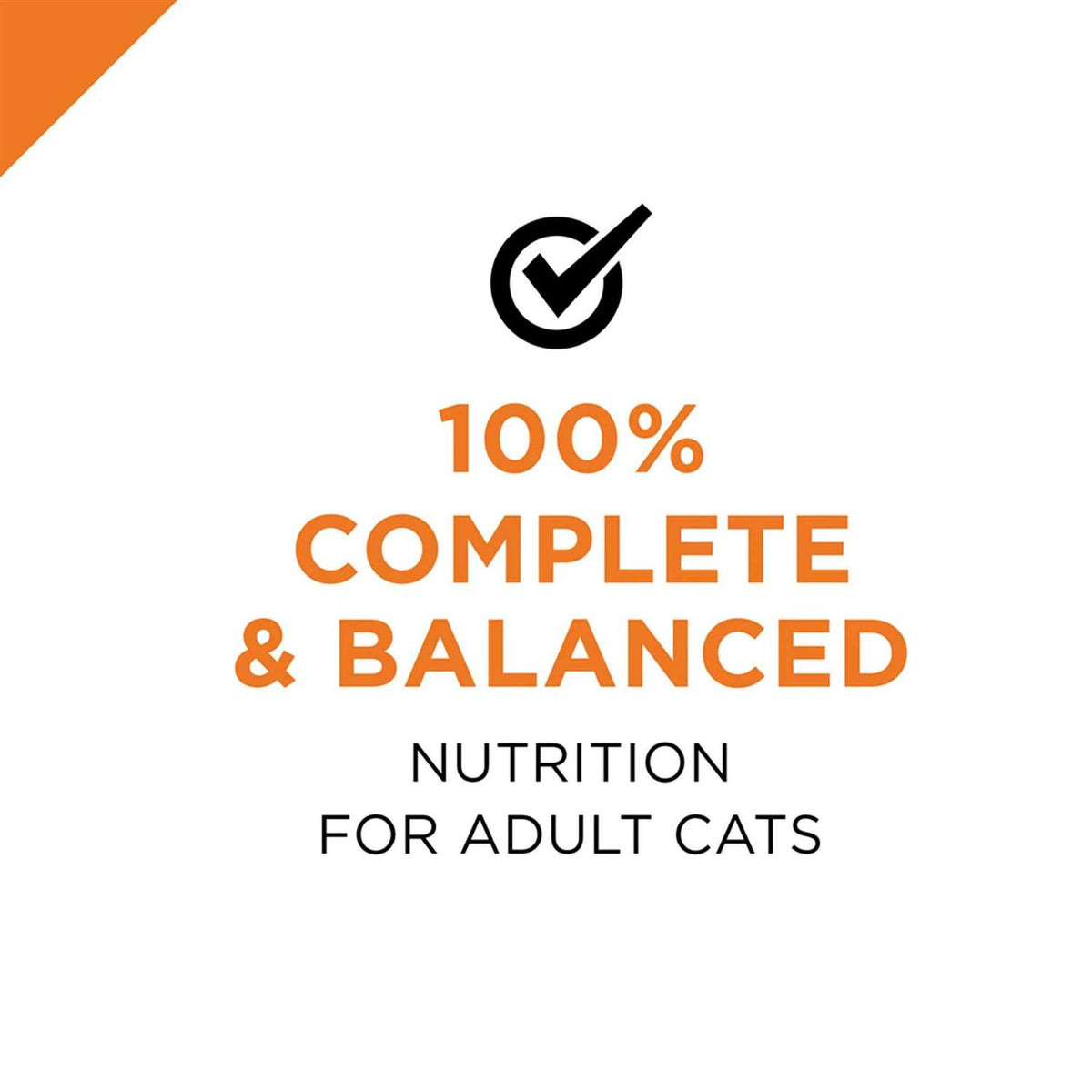 Wet Cat Food S1196