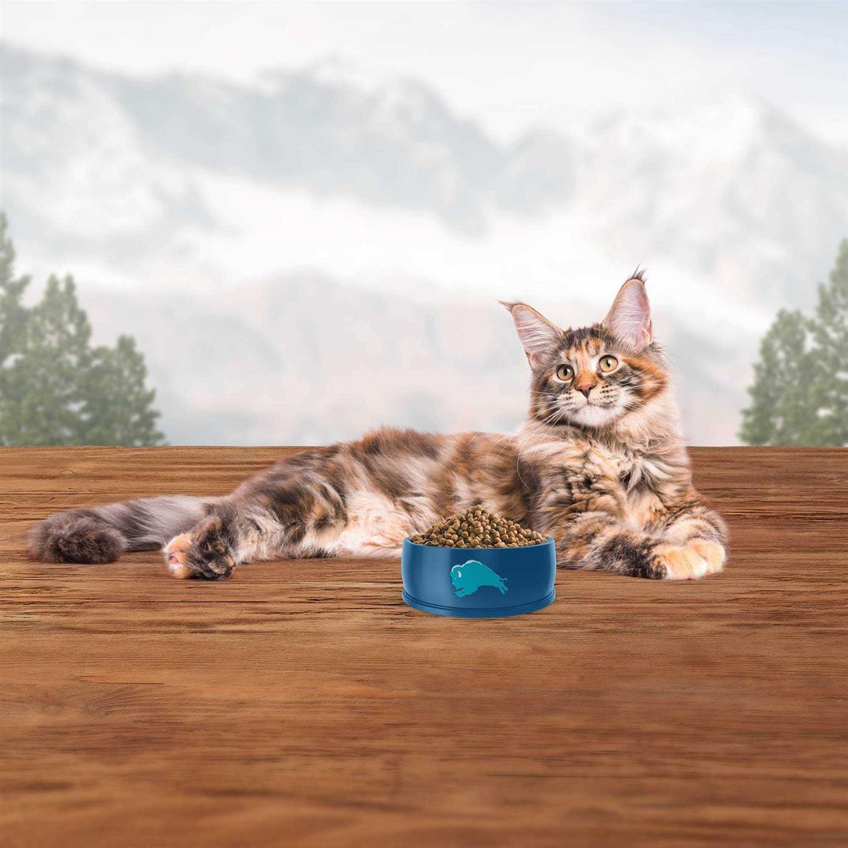 Adult Dry Cat Food J3748