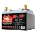 AGM Battery Motorcycle BTX30L W370
