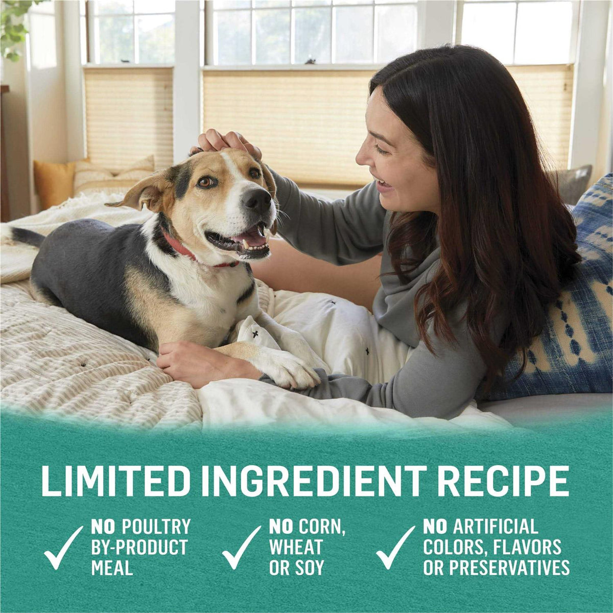 Alaskan Cod Salmon & Sweet Potato Wet Dog Food Can K914