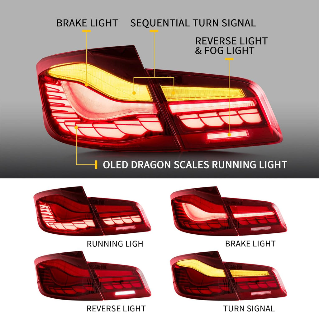 OLED Tail Lights with Sequential Turn Signal W42517
