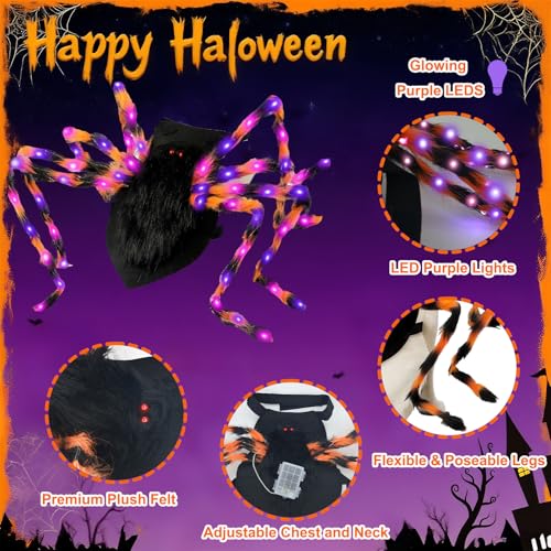 LED Spider Dog Halloween Costume with Multicolor Lights E433099