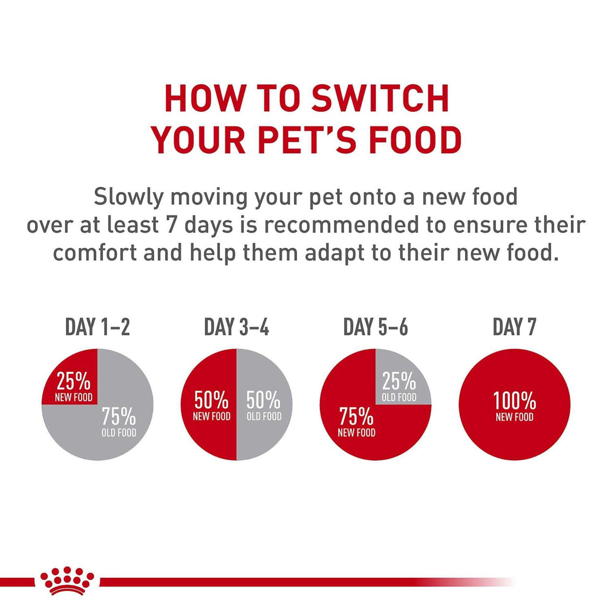 Dry Dog Food I93817