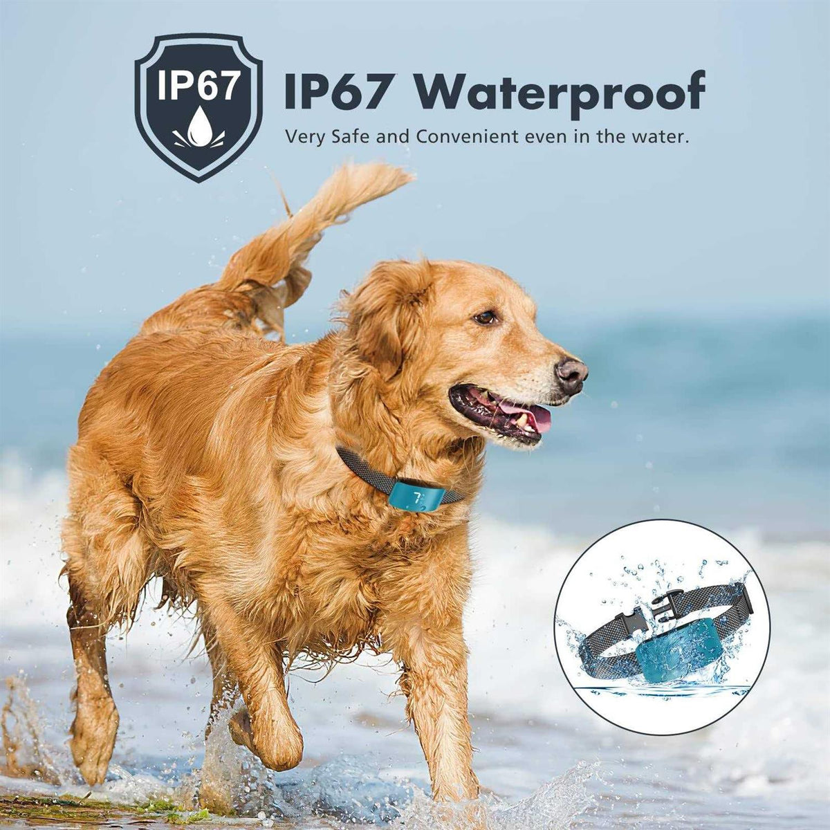 Rechargeable Anti Barking Training Collar X787999