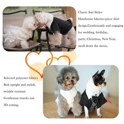 Dog Tuxedo Collar Bandana with Bow Tie V9532
