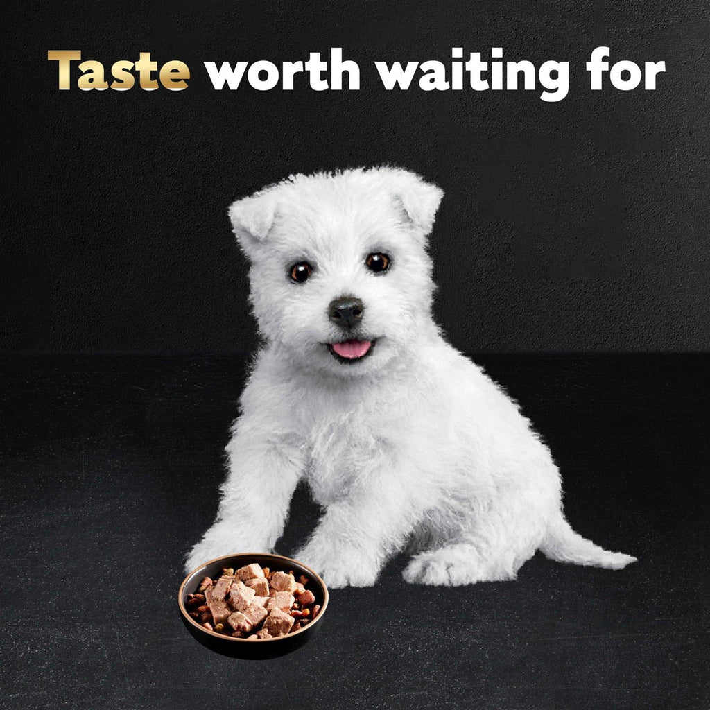 Wet Dog Food Chicken & Beef Recipe Puppy T4112