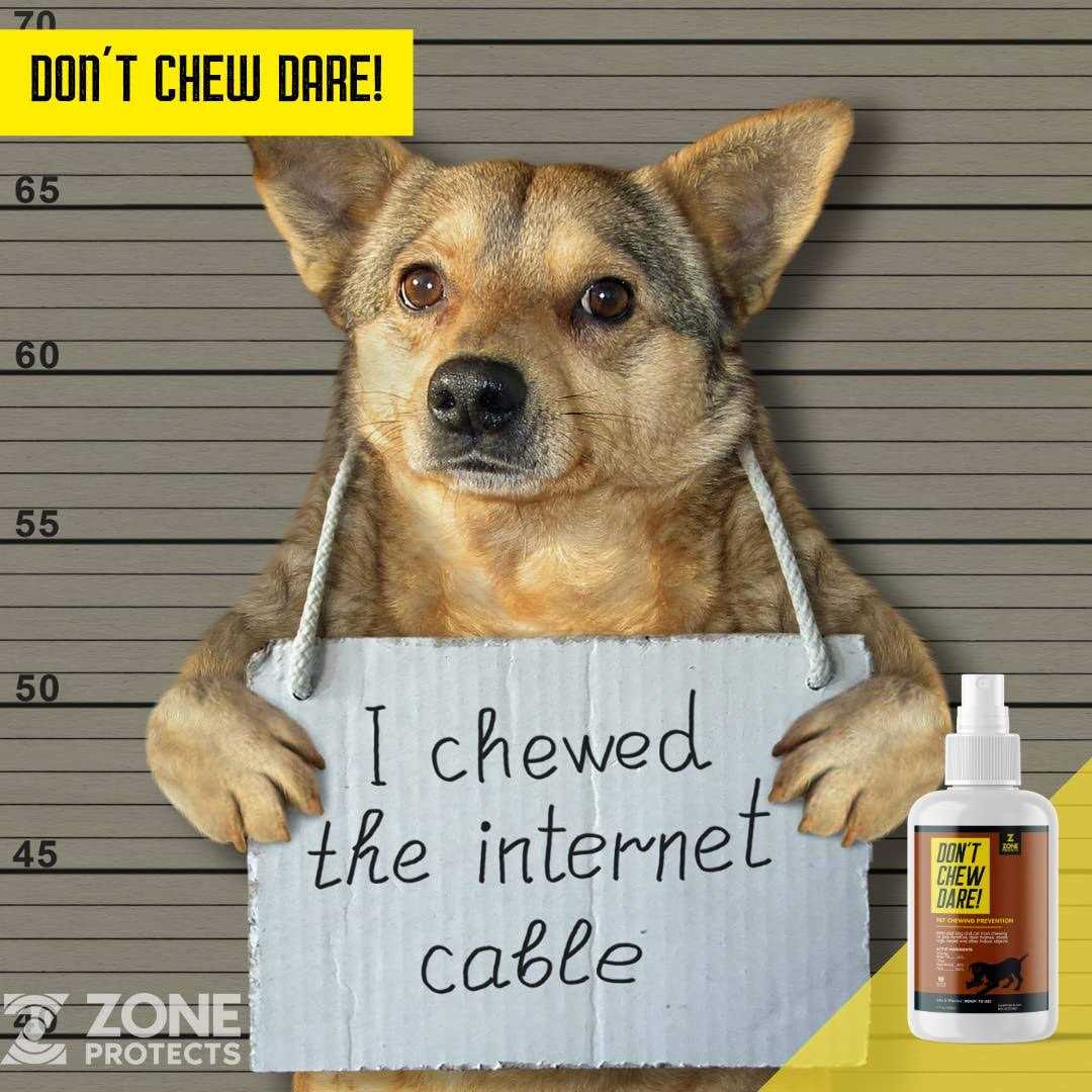 Indoor Dog Chewing Prevention Spray K46117
