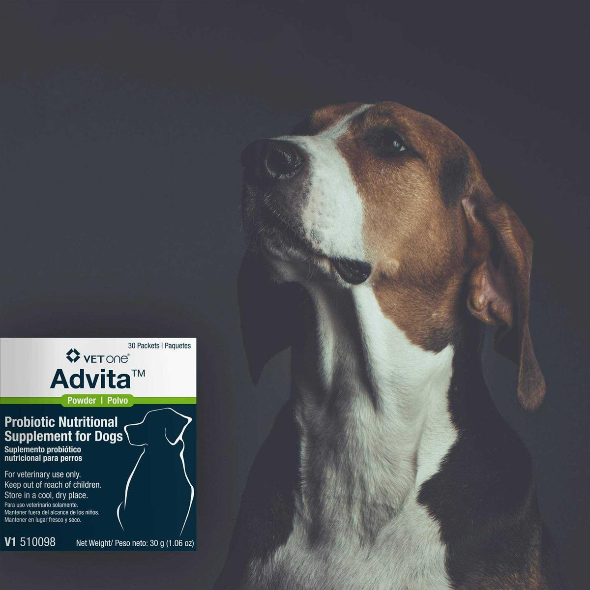 Probiotic Nutritional Supplement for Dogs X3889
