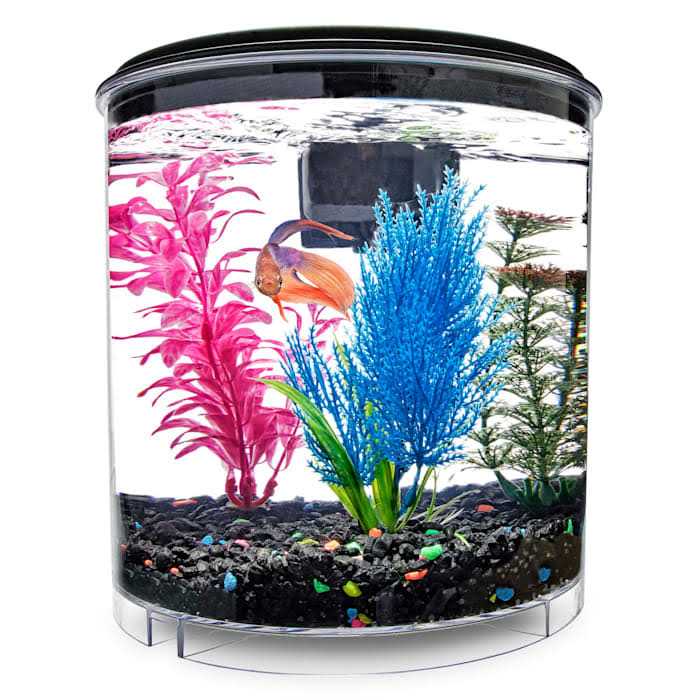 2 Gallon Tank F68958